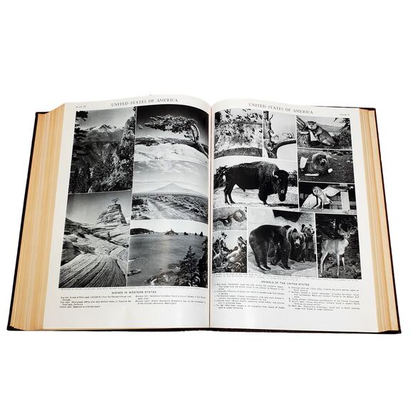 1959 Edition Encyclopedia Britannica Vtg HC Volume 22 TEXTILE to VASC Education - Picture 14 of 15